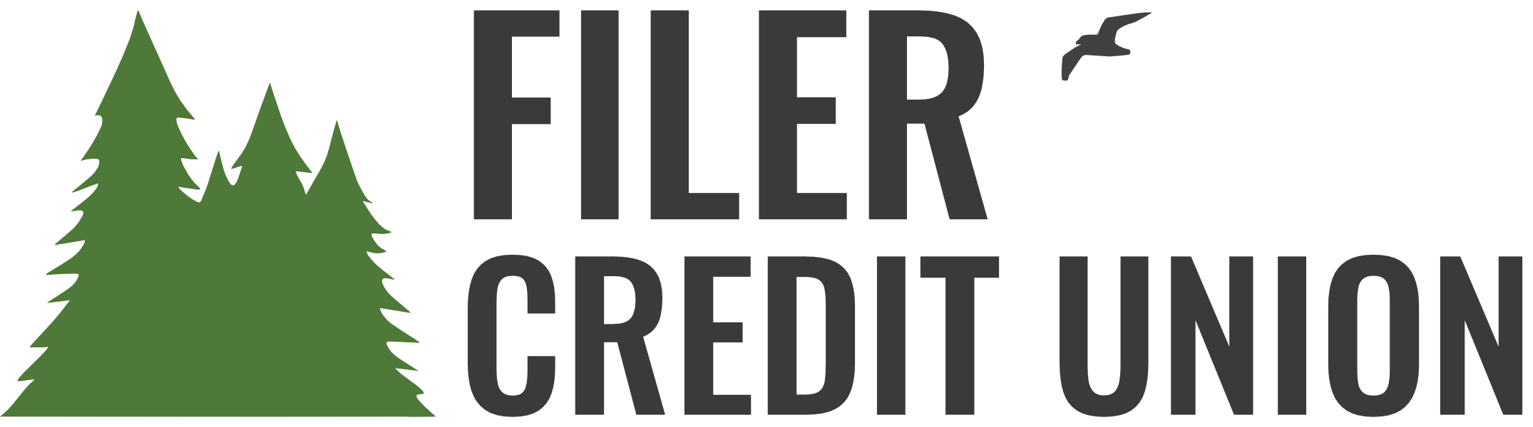 Filer Credit Union