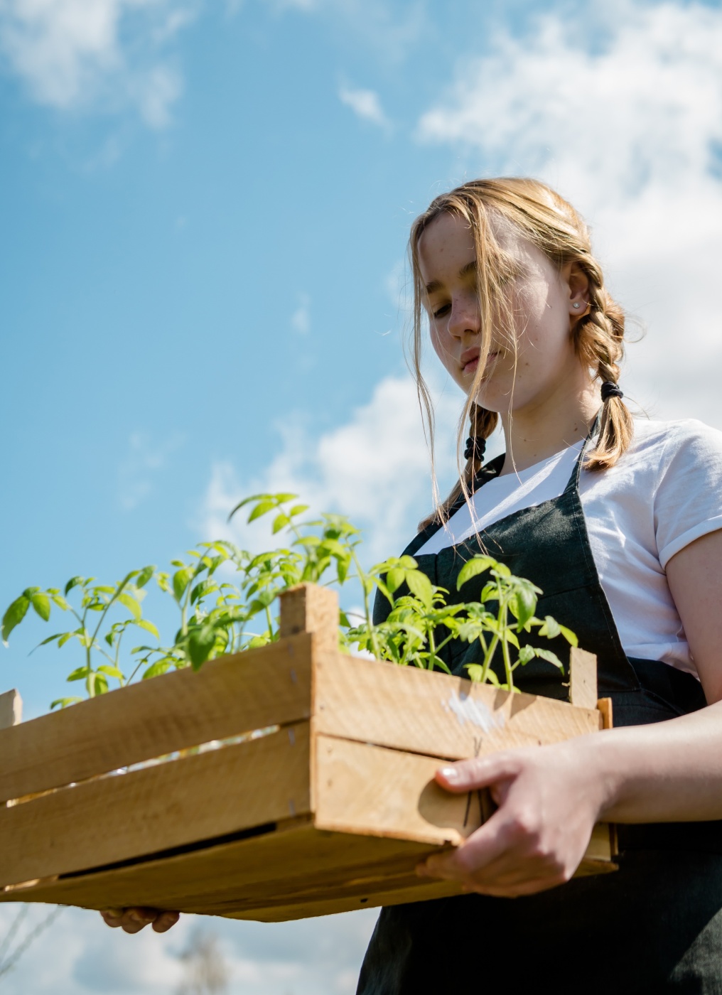 girl with pigtail braids carries a wooden crate of plants