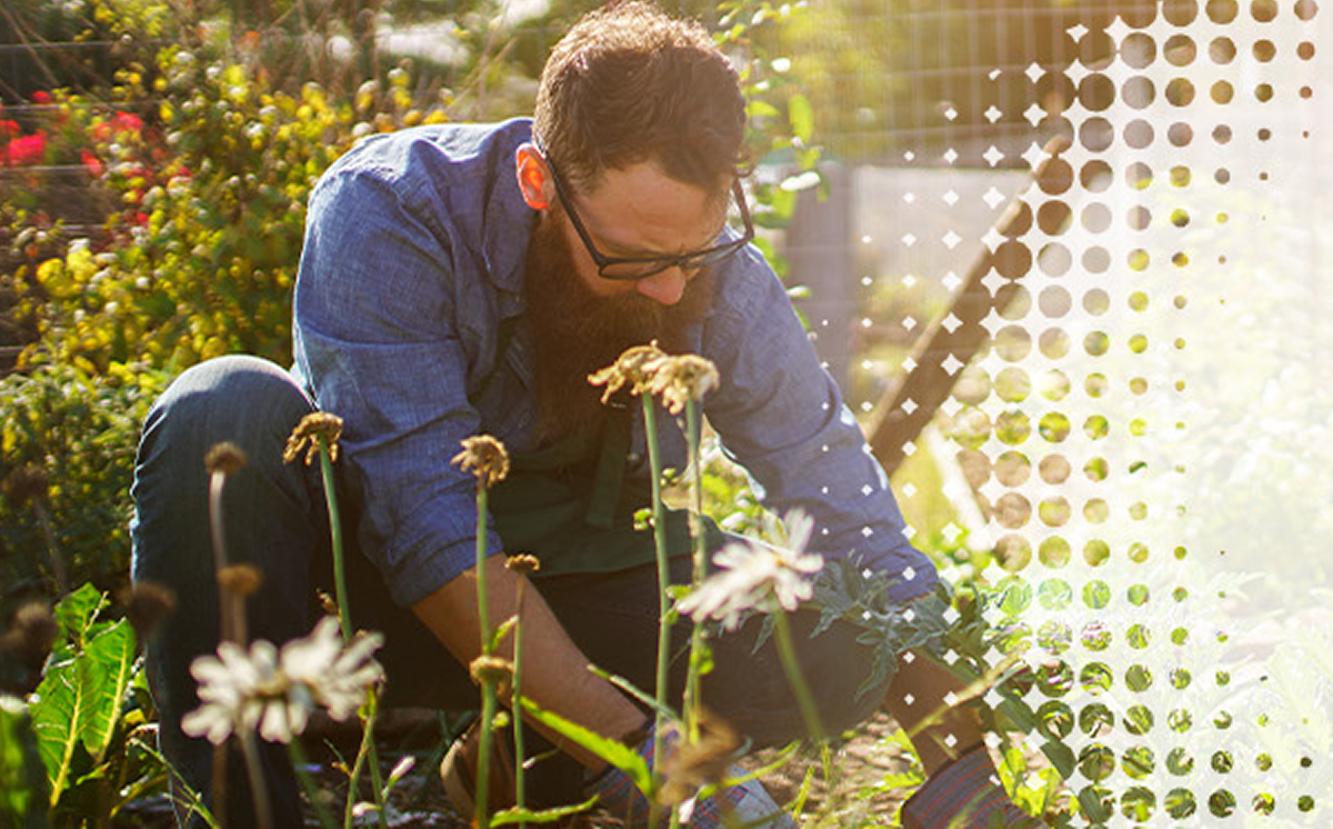 man gardening